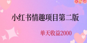 最近爆火小红书情趣项目第二版，每天2000+-九源吧网赚学院