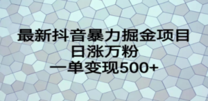 最新抖音暴力掘金项目，日涨万粉，一单变现500+-九源吧网赚