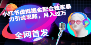 小红书虚拟掘金配合独家首发暴力引流思路，月入过万-九源吧网赚学院