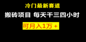 最新冷门游戏搬砖项目，小白零基础也可以月入过万（附教程+软件）-九源吧网赚学院