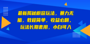 最新揭秘橱窗玩法，暴力无脑，收益必翻，玩法长期套用，小白可入-九源吧网赚