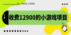 收费12900的小游戏项目，单机收益30+，独家养号方法