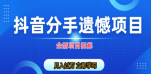 自媒体抖音分手遗憾项目私域项目拆解-九源吧网赚学院
