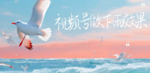 视频号做下雨视频一个账号一周涨粉10W+年入100w-九源吧网赚