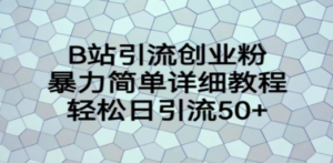 B站引流创业粉，暴力简单详细教程，轻松日引流50+-九源吧网赚
