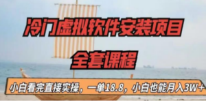冷门虚拟软件安装项目，一单18.8，小白也能月入3W＋-九源吧网赚