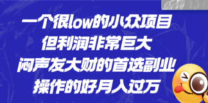 一个很low的小众项目，但利润非常巨大，闷声发大财的首选副业，月入过万-九源吧网赚