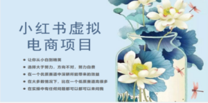 小红书虚拟电商从0到1，让你从小白到精英（20节实操课程）-九源吧网赚