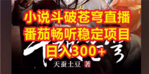 小说斗破苍穹直播，番茄畅听日入300+稳定项目-九源吧网赚