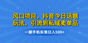 风口项目，抖音今日话题玩法，引流到私域卖单品，一部手机实现日入500+-九源吧网赚