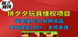 拼多多3C玩具维权项目，一天操作半小时，稳定收入100+（仅揭秘）-九源吧网赚学院