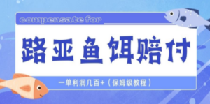 最新路亚鱼饵打假赔付玩法，一单利润几百+（保姆级教程）-九源吧网赚学院