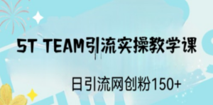 ST TEAM引流实操课，日引流网创粉100+-九源吧网赚