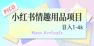 最新小红书情趣用品项目，日入1-4k-九源吧网赚