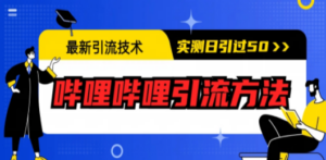 最新引流技术：哔哩哔哩引流方法，实测日引50+-九源吧网赚