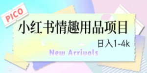 最新小红书情趣用品项目，日入1-4k-九源吧网赚