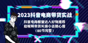 2023抖音电商带货实战，橱窗达人好物推荐，实操小店随心推（80节完整）-九源吧网赚