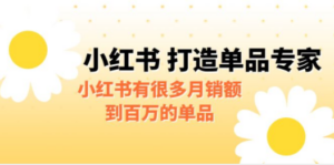 某公众号付费文章《小红书 打造单品专家》小红书有很多月销额到百万的单品-九源吧网赚