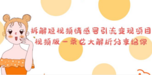 拆解短视频情感号引流变现项目，视频版一条龙大解析分享给你-九源吧网赚