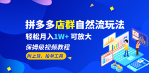 拼多多店群自然流玩法，轻松月入1W+ 保姆级视频教程（附上货、拍单工具）-九源吧网赚