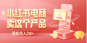 小红书无货源电商0门槛开店，卖这个品轻松实现月入2W-九源吧网赚