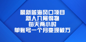 最新蓝海风口项目，新人入局得物，每天两小时，单账号一个月变现破万-九源吧网赚