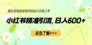 小红书精准引流，小白日入600+，轻松实现副业经济自由（教程+1153G资源）-九源吧网赚