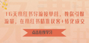 16天-小红书 导流接单营，教你引爆流量，在小红书精准获客+转化成交-九源吧网赚