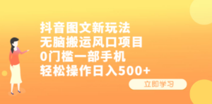 抖音图文新玩法，无脑搬运风口项目，0门槛一部手机轻松操作日入500+-九源吧网赚