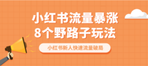 小红书流量-暴涨8个野路子玩法：小红书新人快速流量破局（8节课）-九源吧网赚