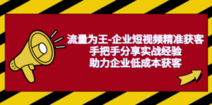流量为王-企业 短视频精准获客，手把手分享实战经验，助力企业低成本获客-九源吧网赚