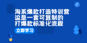淘系爆款打造特训营：这是一套可复制的打爆款标准化流程-九源吧网赚学院