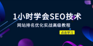 1小时学会SEO技术 网站排名优化实战高级教程-秒杀市面95%收费几千的SEO教程-九源吧网赚