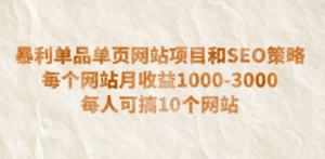 暴利单品单页网站项目和SEO策略 每个网站月收益1000-3000 每人可搞10个-九源吧网赚
