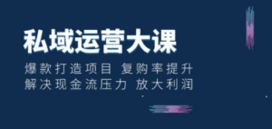 私域运营大课：爆款打造项目 复购率提升 解决现金流压力 放大利润-九源吧网赚