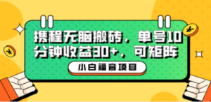小白新手福音：携程无脑搬砖项目，单号操作10分钟收益30+，可矩阵可放大-九源吧资源站