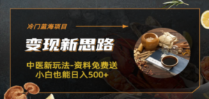 冷门蓝海项目-中医新玩法-资料免费送小白也能日入500+-九源吧资源站