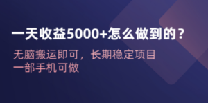一天收益5000+怎么做到的？无脑搬运即可，长期稳定项目，一部手机可做-九源吧网赚