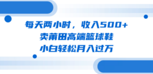 每天两小时，收入500+，卖莆田高端篮球鞋，小白轻松月入过万（教程+素材）-九源吧网赚学院