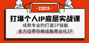 打爆·个人IP底层实战课，成熟专业的打造IP技能 全方位带你做成能商业化IP-九源吧网赚