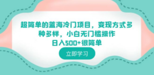 超简单的蓝海冷门项目，变现方式多种多样，小白无门槛操作日入500+很简单-九源吧网赚