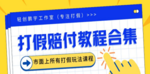 2023年全套打假合集，集合市面所有正规打假玩法（非正规打假的没有）-九源吧
