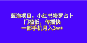蓝海项目，小红书塔罗占卜，门槛低，传播快，一部手机月入3w+-九源吧网赚