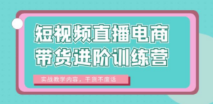 短视频直播电商带货进阶训练营：实战教学内容，干货不废话-九源吧网赚