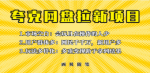 此项目外面卖398保姆级拆解夸克网盘拉新玩法，助力新朋友快速上手-九源吧网赚