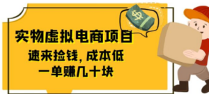 东哲日记：全网首创实物虚拟电商项目，速来捡钱，成本低，一单赚几十块-九源吧网赚