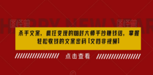 杀手 文案 疯狂变现 108封大师手抄赚钱信，掌握月入百万的文案密码-九源吧网赚