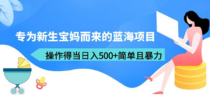 专为新生宝妈而来的蓝海项目，操作得当日入500+简单且暴力（教程+工具）-九源吧网赚