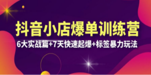 抖音小店爆单训练营VIP线下课：6大实战篇+7天快速起爆+标签暴力玩法(32节)-九源吧网赚