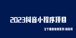 2023抖音小程序项目，变现逻辑非常很简单，当天变现，次日提现！-九源吧网赚